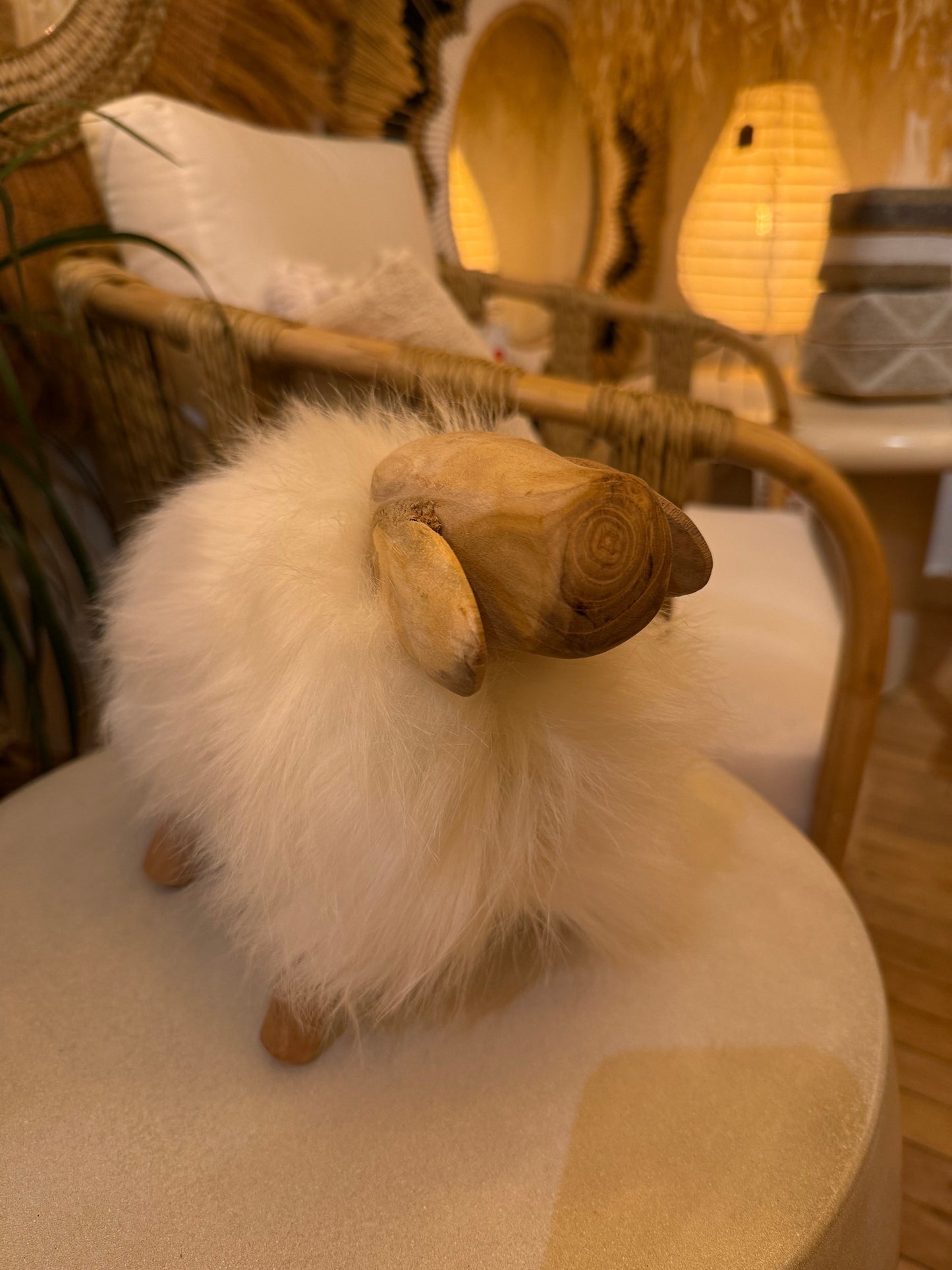 The Hearthside Sheep