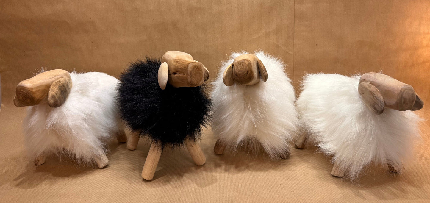 The Hearthside Sheep