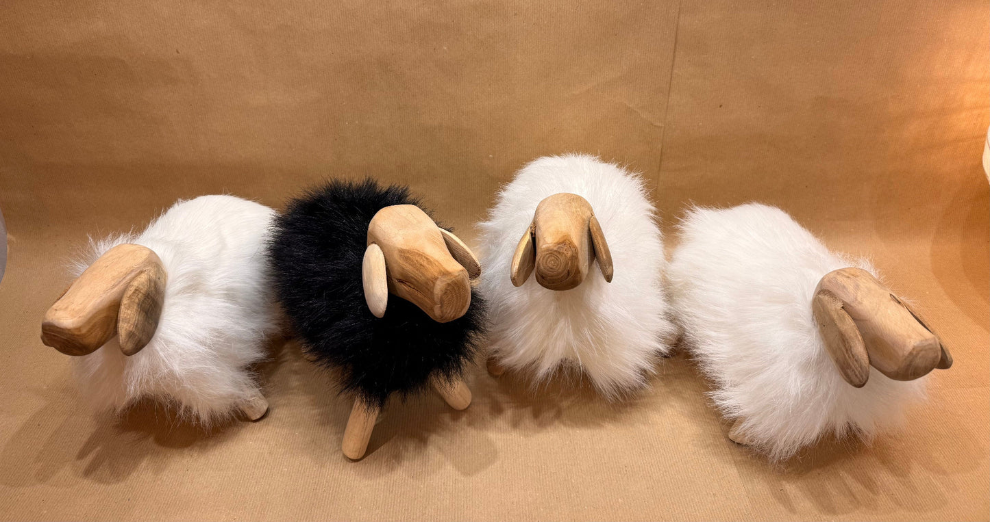 The Hearthside Sheep