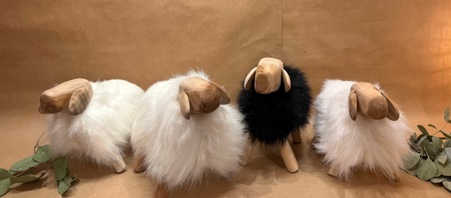 The Hearthside Sheep